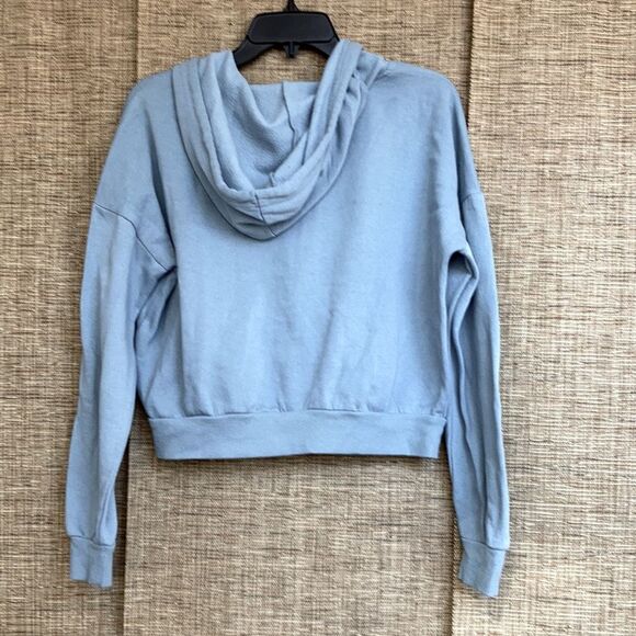 Hippie Rose cropped hoodie color warm grey is blue - Picture 4 of 5
